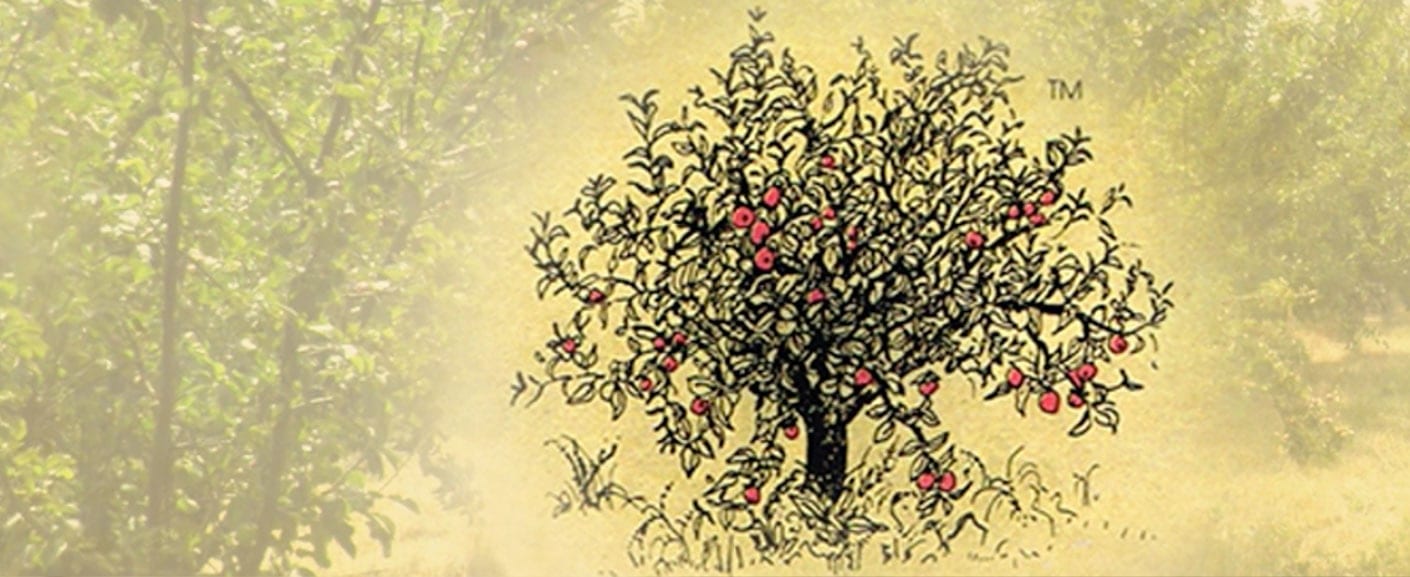 seven oaks cider logo
