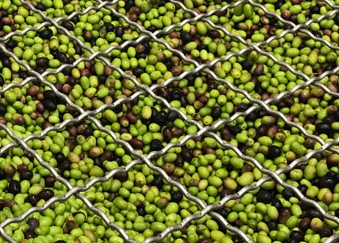 cape schanck estate olives